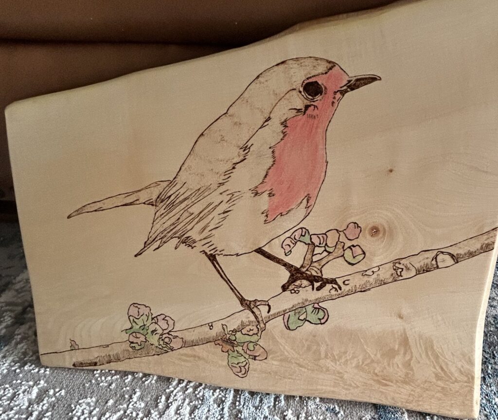 Pyrography-robin-on-sycamore-wood-slab